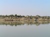 20050126_FerryBoat_03